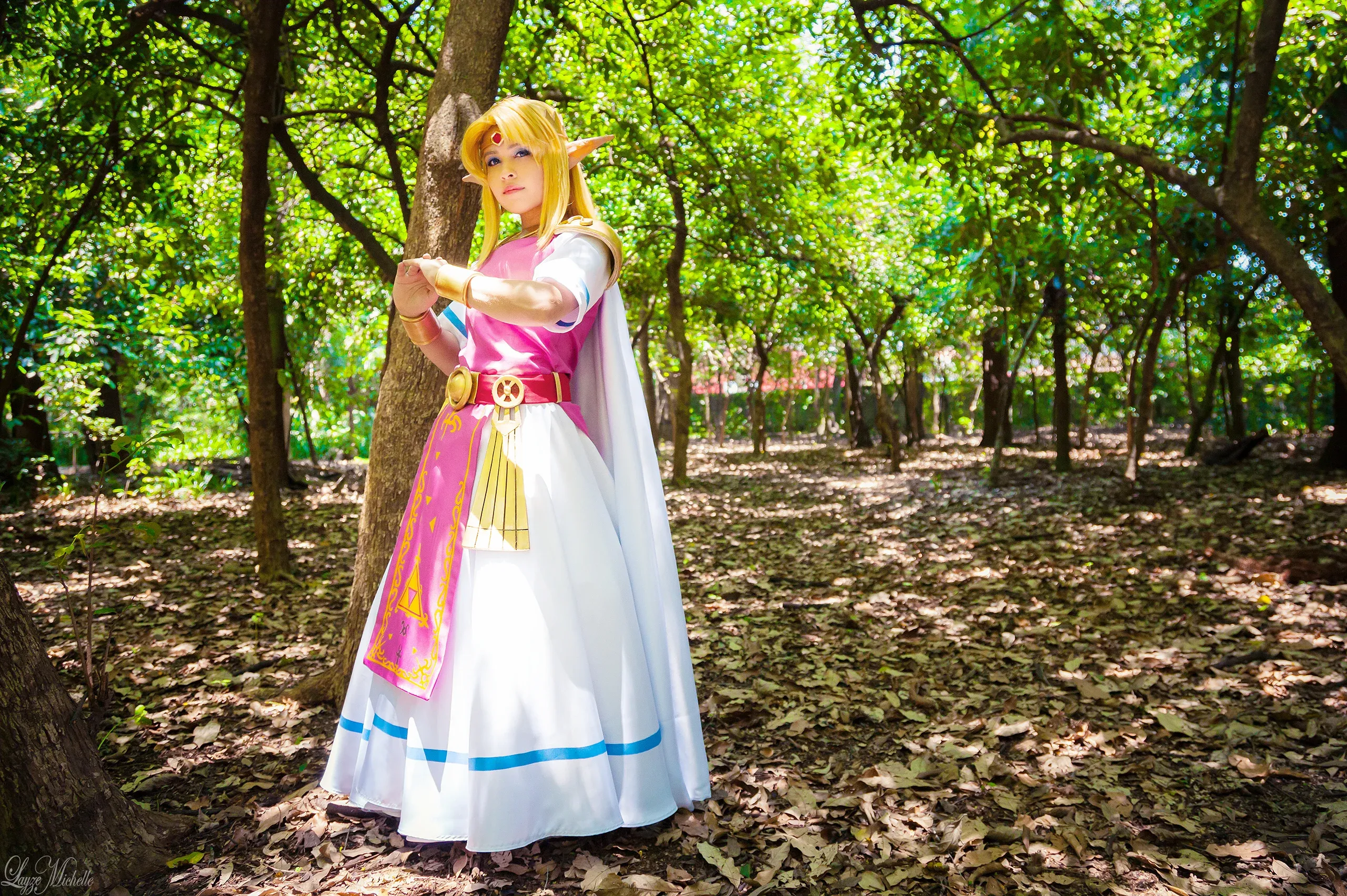 Cosplay Princesa Zelda — The Legend of Zelda: A Link Between Worlds