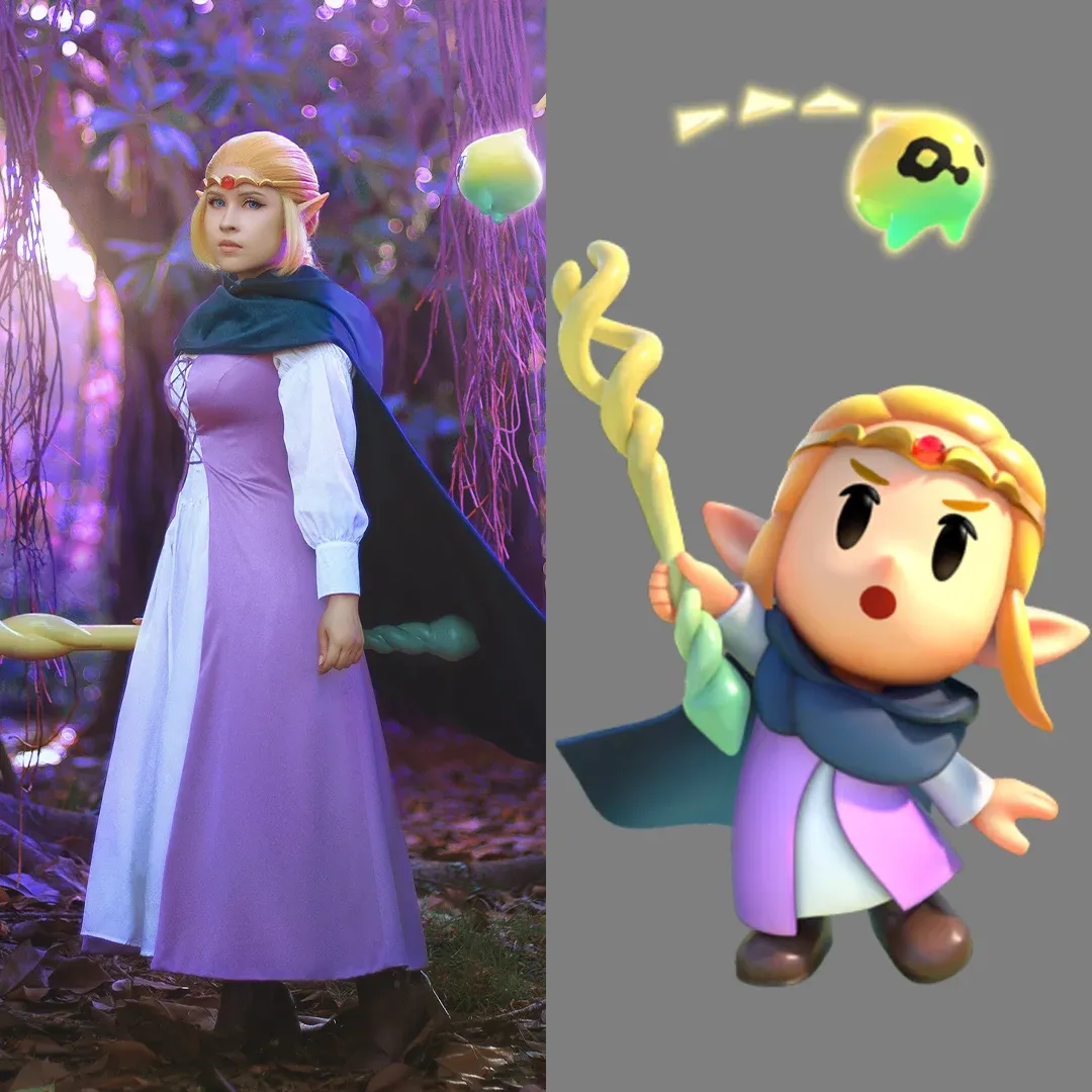Princess Zelda (Disguise) 1