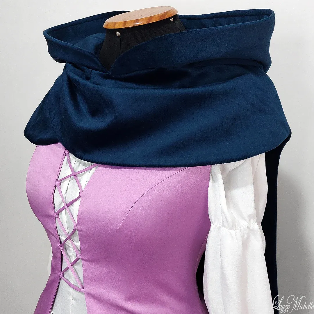Princess Zelda (Disguise) 4